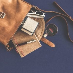 Nullam mollis interdum