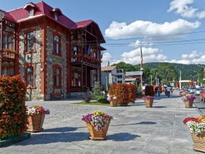 Cras feugiat semper justo