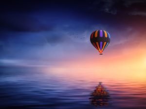 Sodales cursus mauris.