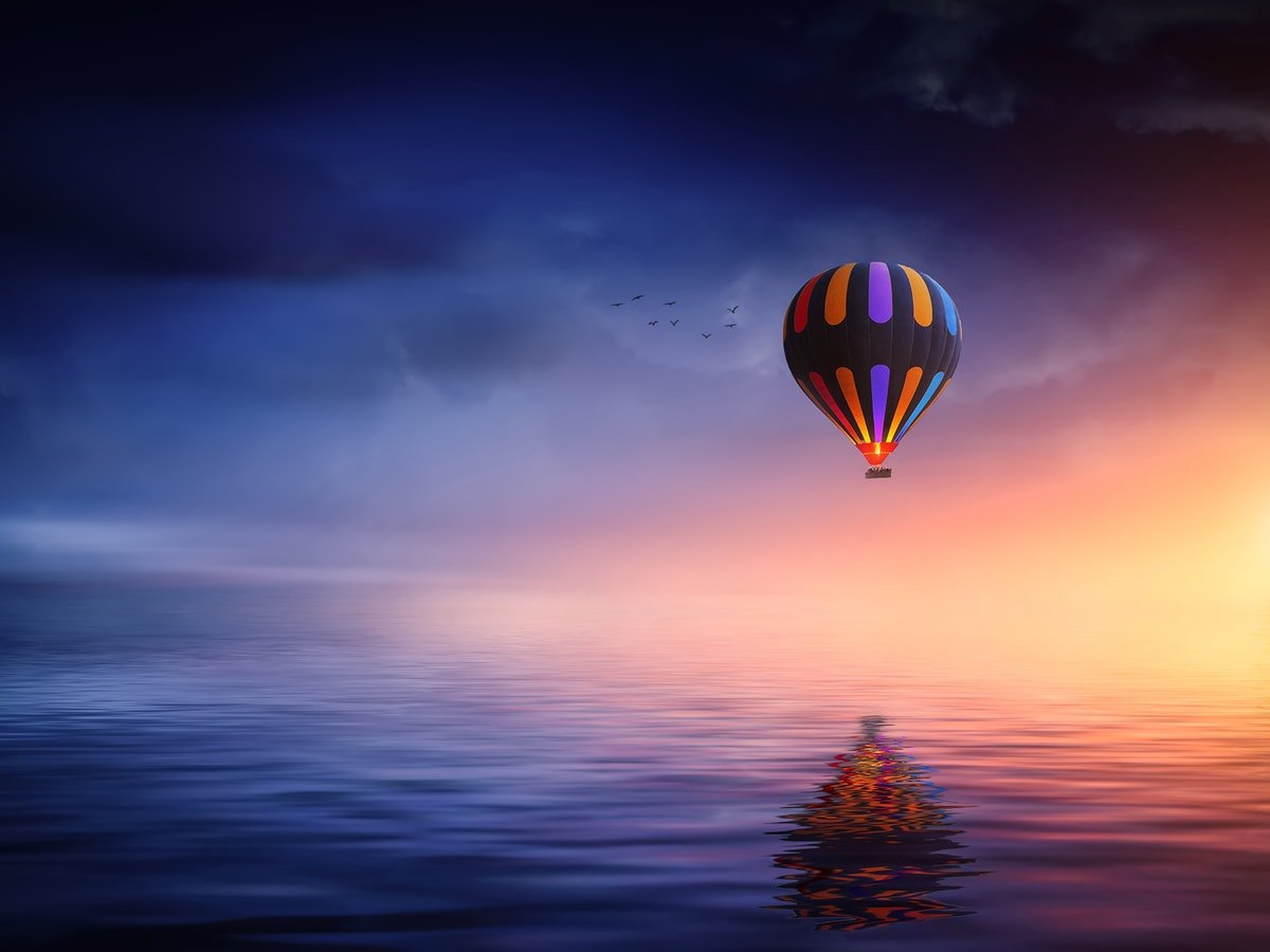 Sodales cursus mauris.