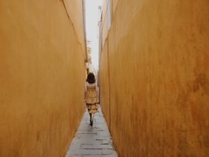 Donec iaculis elit interdum